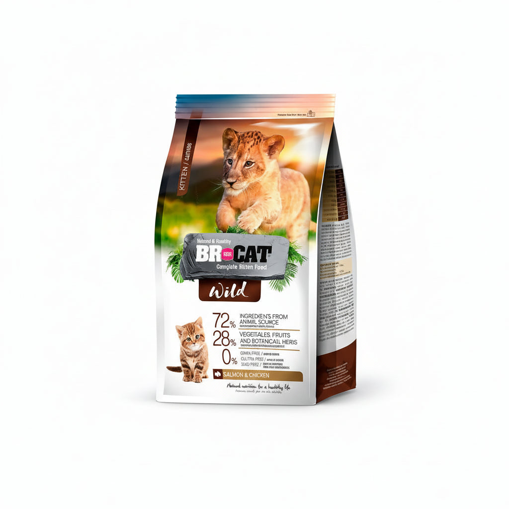 Br For Cat Wild Gatitos Kitten