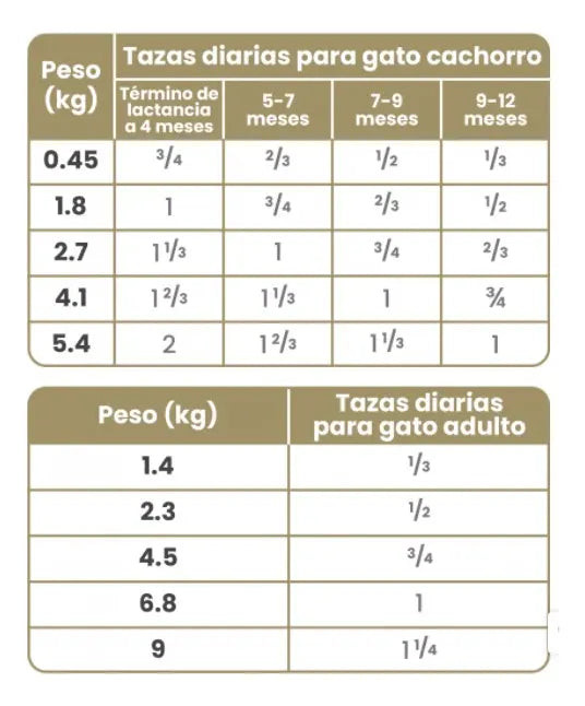 Taste of the Wild Canyon River Feline para gato adulto 6.6 KG