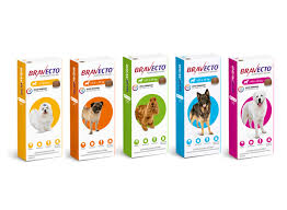 Bravecto - Antipulgas y Garrapatas (Efecto por 3 meses)