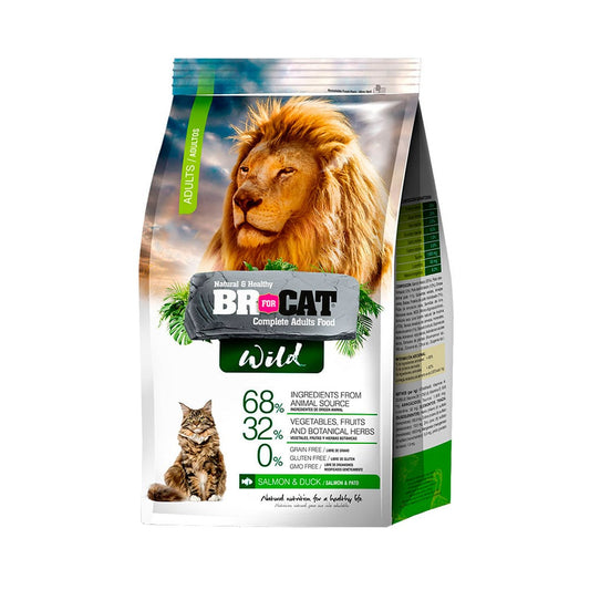 Br For Cat Gatos Wild Gatos Adultos