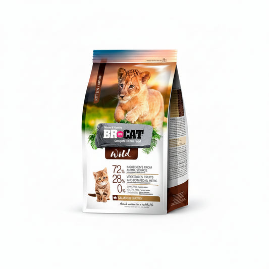 Br For Cat Wild Gatitos Kitten
