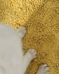 Arena Ecológica para Gatos Maíz Cat - Súper Aglomerante
