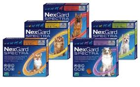 NexGard Spectra - Antipulgas y Antiparasitario Interno