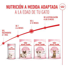 Alimento Royal Canin Kitten - Gatitos hasta los 12 meses